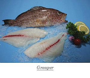 Grouper