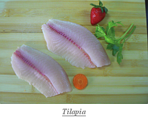 Tilapia