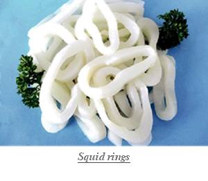 Squid_rings